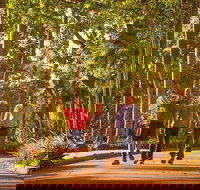 Darwin City Sights and Jumping Crocodile Cruise - Accommodation QLD