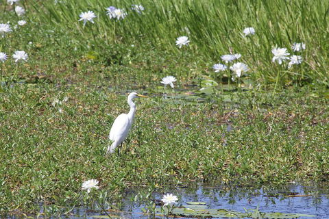 Darwin City Sights And Jumping Crocodile Cruise - Accommodation QLD 4