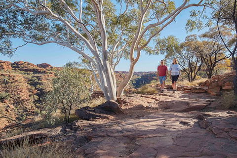 3-Day Tour From Uluru (Ayers Rock) To Alice Springs Via Kings Canyon - Accommodation QLD 1