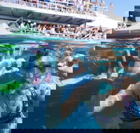 Great Barrier Reef Day Cruise from Cairns Including Snorkeling and Marine Biologist Presentation - Accommodation QLD