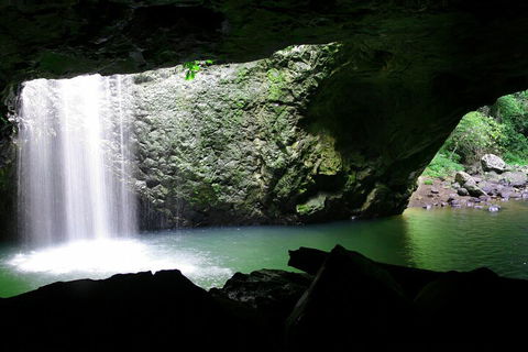 Natural Bridge & Springbrook Waterfalls Tour + Hot Air Balloon With Breakfast - Accommodation QLD 2
