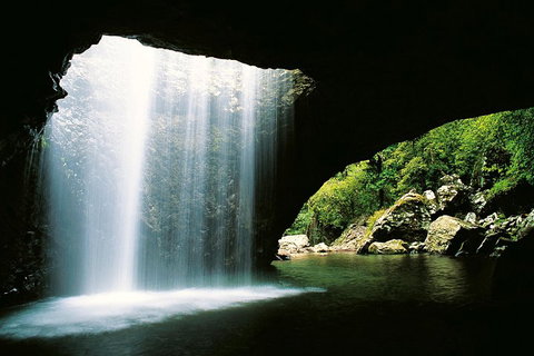 Natural Bridge & Springbrook Waterfalls Tour - Accommodation QLD 0