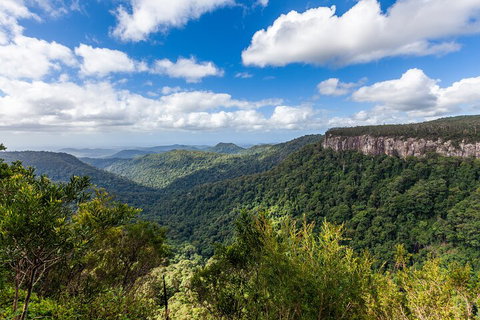 Natural Bridge & Springbrook Waterfalls Tour - Accommodation QLD 1