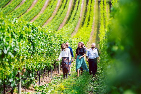 Tasmanian Wine Tour - Accommodation QLD 0