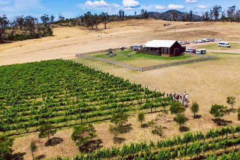 Tasmanian Wine Tour - Accommodation QLD 3