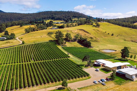 Tasmanian Wine Tour - Accommodation QLD 4