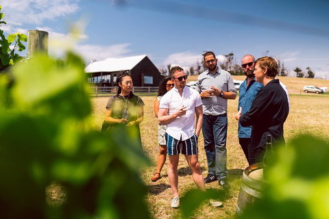 Tasmanian Wine Tour - Accommodation QLD 5
