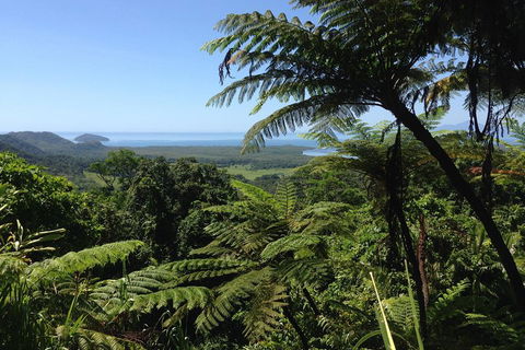 Daintree And Cape Tribulation Full Day Guided Tour - Accommodation QLD 2