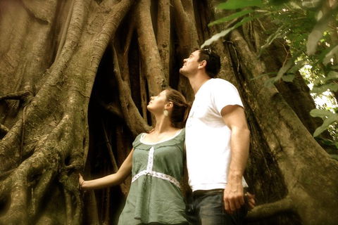 Daintree And Cape Tribulation Full Day Guided Tour - Accommodation QLD 5