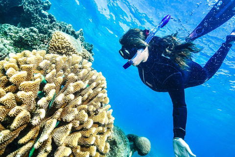 Green Island Day Trip From Cairns - Accommodation QLD 1