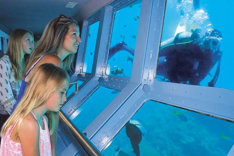 Quicksilver Outer Great Barrier Reef Snorkel Cruise From Palm Cove - Accommodation QLD 0