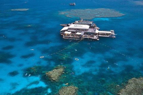 Quicksilver Outer Great Barrier Reef Snorkel Cruise From Palm Cove - Accommodation QLD 1
