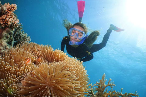 Quicksilver Outer Great Barrier Reef Snorkel Cruise From Palm Cove - Accommodation QLD 2
