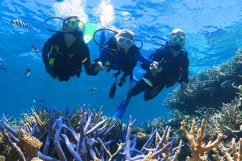Quicksilver Outer Great Barrier Reef Snorkel Cruise From Palm Cove - Accommodation QLD 3