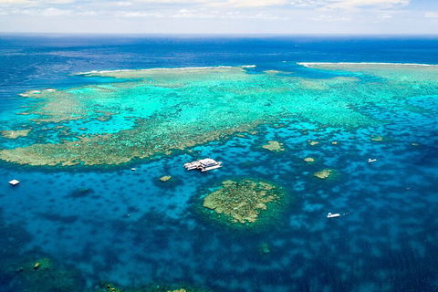 Quicksilver Outer Great Barrier Reef Snorkel Cruise From Palm Cove - Accommodation QLD 4