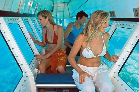 Quicksilver Outer Great Barrier Reef Snorkel Cruise From Palm Cove - Accommodation QLD 5