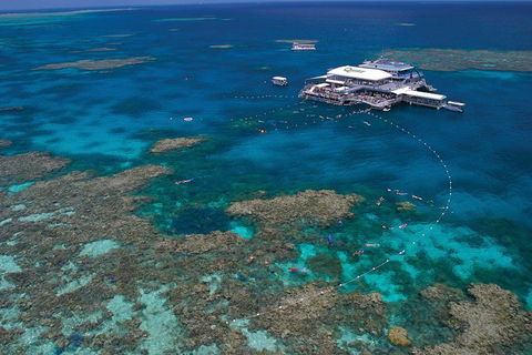 Quicksilver Outer Great Barrier Reef Snorkel Cruise From Port Douglas - Accommodation QLD 3