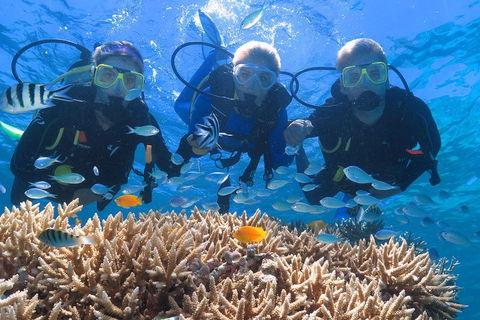 Quicksilver Outer Great Barrier Reef Snorkel Cruise From Port Douglas - Accommodation QLD 4