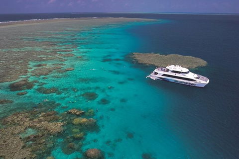 Silversonic Outer Great Barrier Reef Dive And Snorkel Cruise From Port Douglas - Accommodation QLD 1