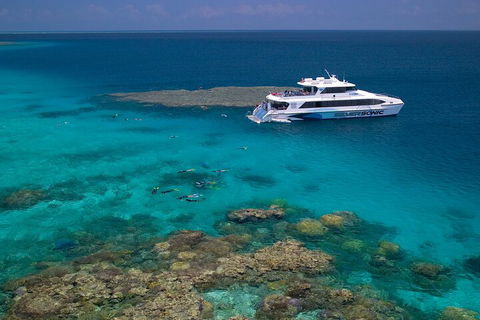 Silversonic Outer Great Barrier Reef Dive And Snorkel Cruise From Port Douglas - Accommodation QLD 2