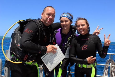 Quicksilver Dive 4 Day PADI Learn To Dive Course - Accommodation QLD 0