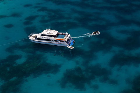 Quicksilver Dive 4 Day PADI Learn To Dive Course - Accommodation QLD 1