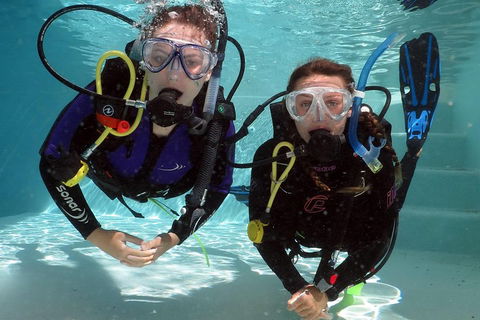Quicksilver Dive 4 Day PADI Learn To Dive Course - Accommodation QLD 2