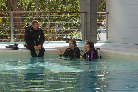 Quicksilver Dive 4 Day PADI Learn To Dive Course - Accommodation QLD 3