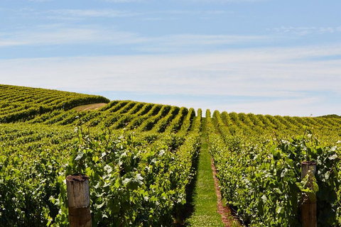 West Tamar Wine Tour - Accommodation QLD 2