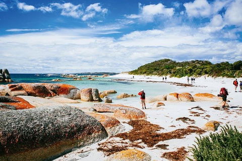 Wineglass Bay Private Charter Service - Accommodation QLD 3