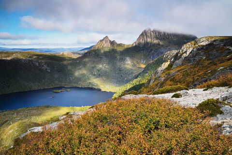 Cradle Mountain Private Charter Service - Accommodation QLD 3