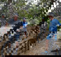 Fully guided E-Mountain Bike Tour on the beautiful Mornington Peninsula. - Accommodation QLD
