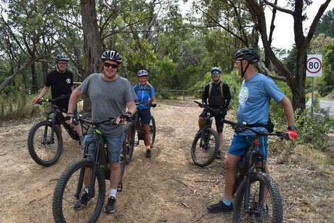 Fully Guided E-Mountain Bike Tour On The Beautiful Mornington Peninsula. - Accommodation QLD 0