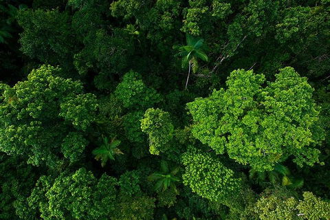Cairns & Port Douglas All-Inclusive 7 Days Touring Package - Accommodation QLD 4