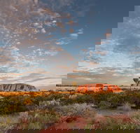 Uluru Kata Tjuta and Kings Canyon Camping Safari from Alice Springs - Accommodation QLD