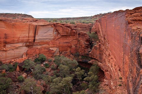Uluru, Kata Tjuta And Kings Canyon Camping Safari From Ayers Rock - Accommodation QLD 1