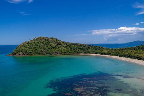 Daintree And Cape Tribulation Tour From Cairns - Accommodation QLD 4