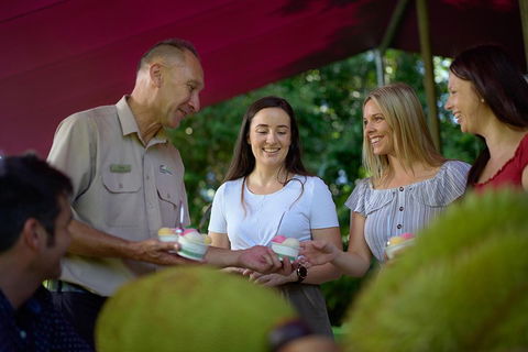 Daintree And Cape Tribulation Tour From Cairns - Accommodation QLD 5