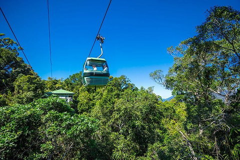 Skyrail Rainforest Cableway Day Trip From Cairns - Accommodation QLD 1