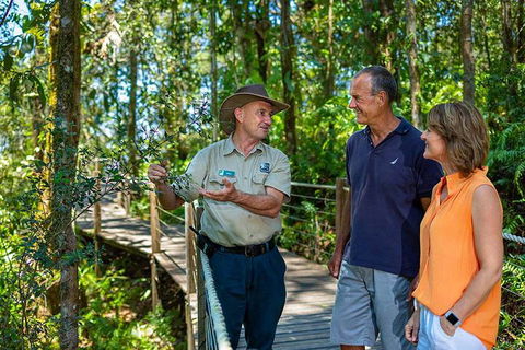 Kuranda Scenic Railway Day Trip From Cairns - Accommodation QLD 1