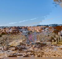 The Amazing Kings Canyon 4-Hours Walking Tour and Hike - Accommodation QLD