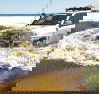Full-Day Moreton Island 4x4 Sightseeing Tour - Accommodation QLD
