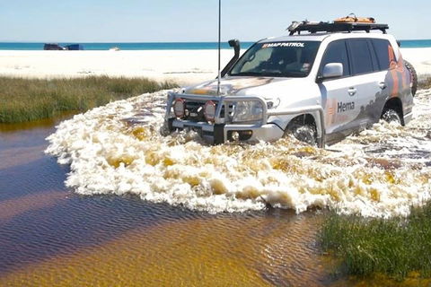 Full-Day Moreton Island 4x4 Sightseeing Tour - Accommodation QLD 0