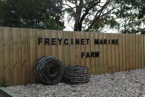 Active Day Tour One-Way From Launceston To Hobart Via Wineglass Bay - Accommodation QLD 3