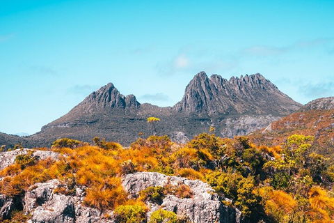 Cradle Mountain National Park Day Tour From Launceston - Accommodation QLD 1