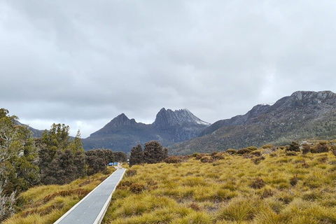 Cradle Mountain National Park Day Tour From Launceston - Accommodation QLD 2