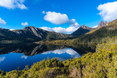 Cradle Mountain National Park Day Tour From Launceston - Accommodation QLD 3