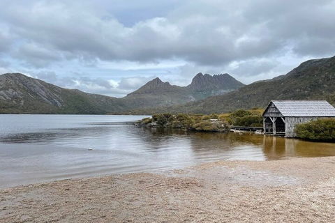 Cradle Mountain National Park Day Tour From Launceston - Accommodation QLD 4