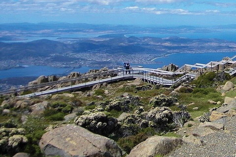 Mt Wellington Ultimate Experience Tour From Hobart - Accommodation QLD 1