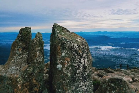 Mt Wellington Tour And MONA Admission - Accommodation QLD 2
